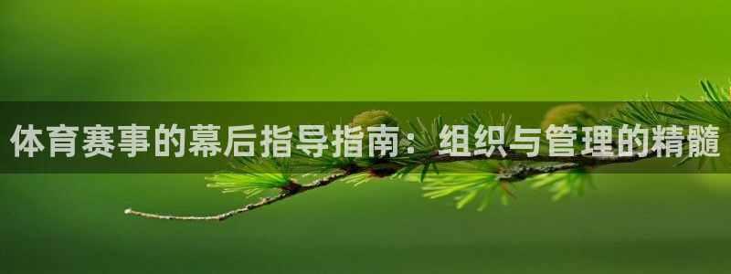 必一体育下载一样吗