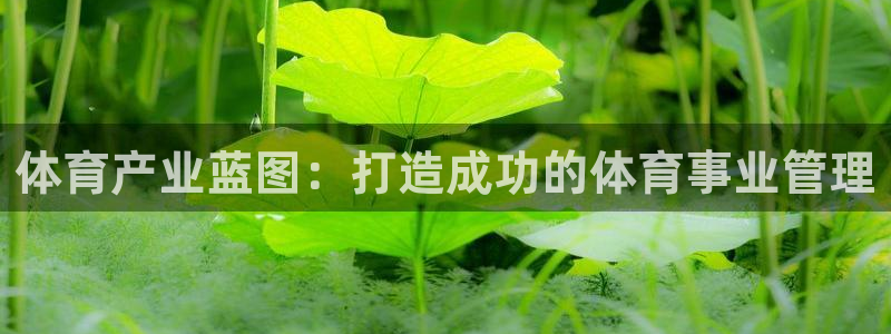 必一体育最新官网入口首页