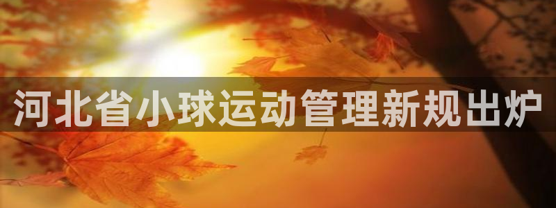 必一体育sport装机吧