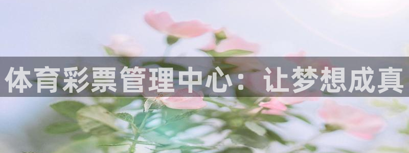 必一体育app官方正