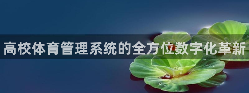 必一体育网站：高校体