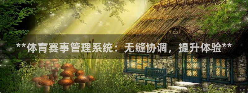 b体育官网下载入口a
