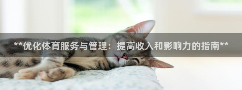 必一运动bsport