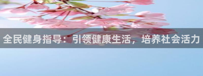 必一体育运动app下载