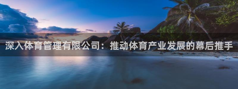 必一运动 b 体育素描版