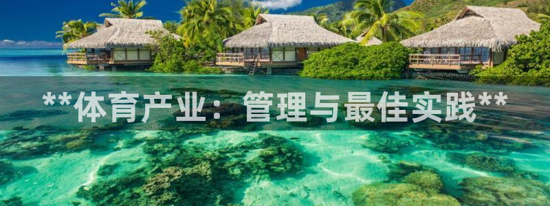 必一体育sport：