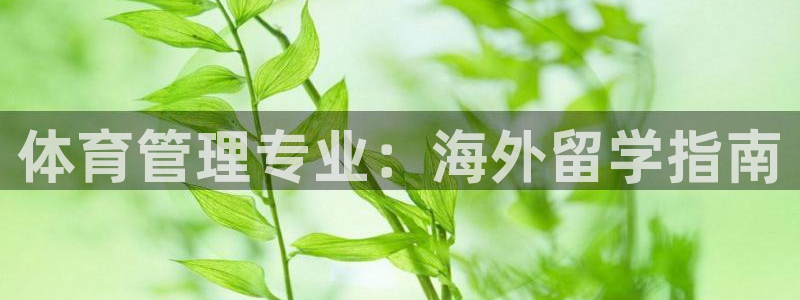 必一体育验证码：体育