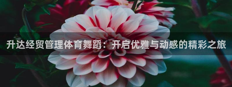 必一体育登陆