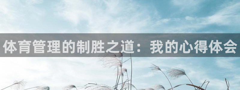 必一体育在线官网：体