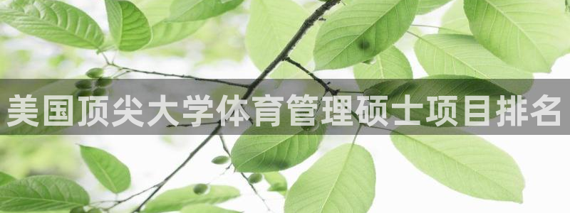 必一体育服下载最新版本更新内容