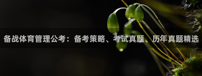 必一体育全站在线登录入口