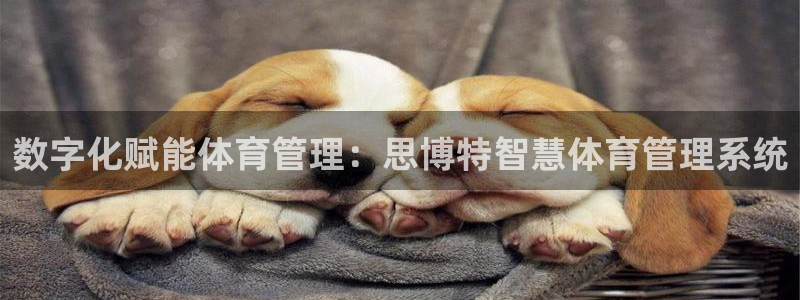 必一体育旧版