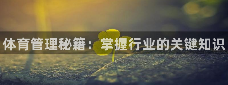 必一体育网页登陆：体