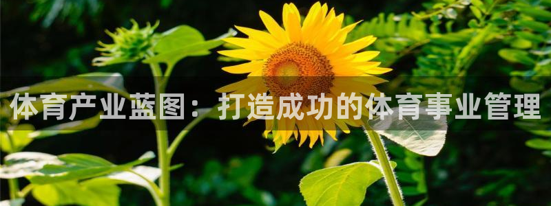 必一体育黑平台