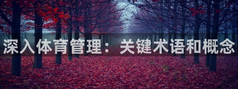 必一体育在哪下