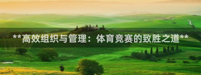 必一运动听的歌
