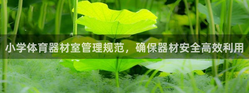 必一体育在线登录：小