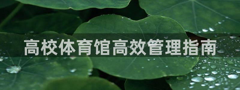 必一运动aop：高校