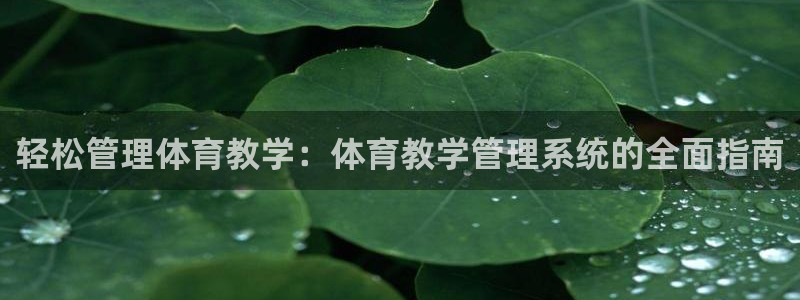 必一体育在线官网