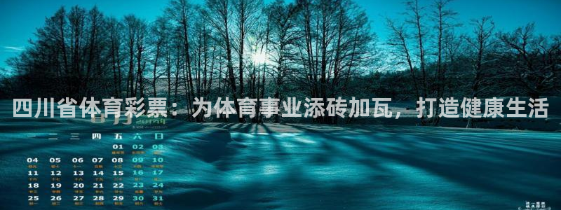 b体育必一运动网页版