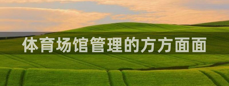 必一体育bsport下载