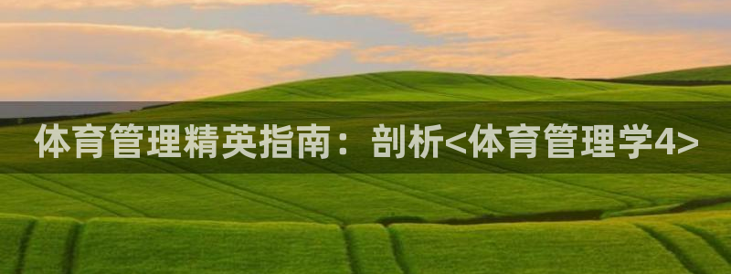 必一体育官网网站