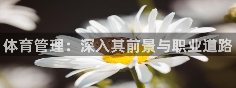 必一体育登录入口