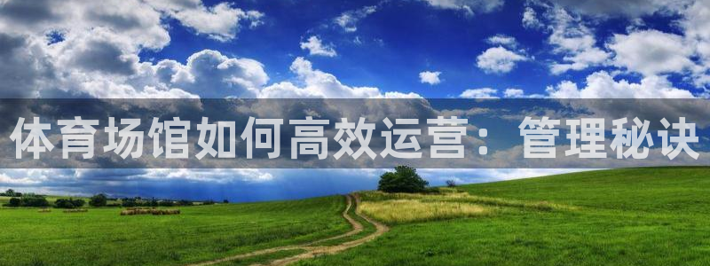 必一体育没了：体育场