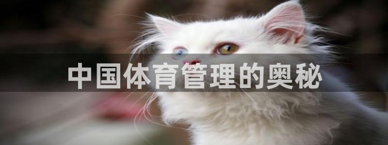 必一体育官方下载：中