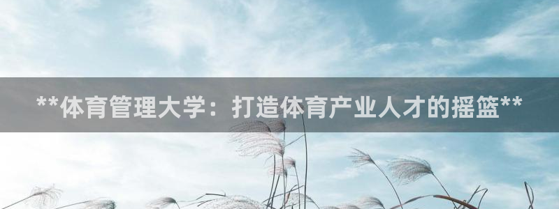 必一体育官网网址：*