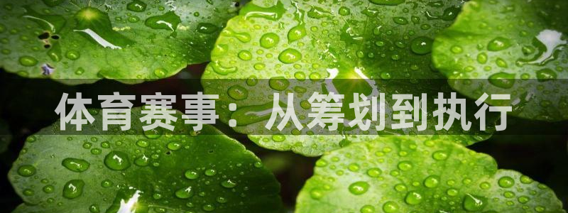 必一体育登陆
