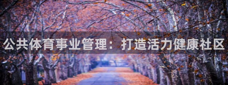 必一体育sport网页版
