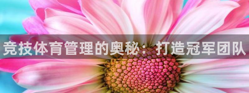 必一体育是啥
