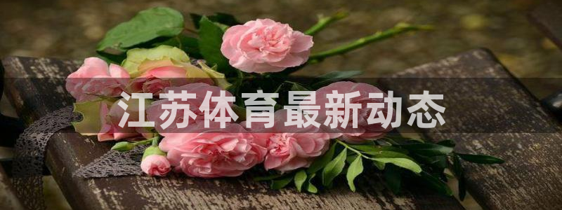 必一体育官网app