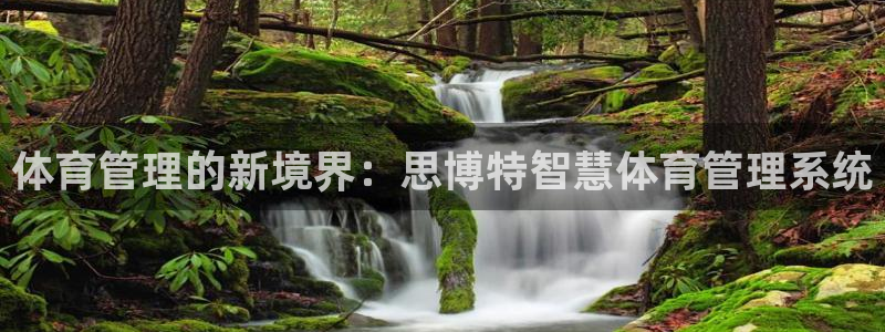 必一体育流水线是什么意思