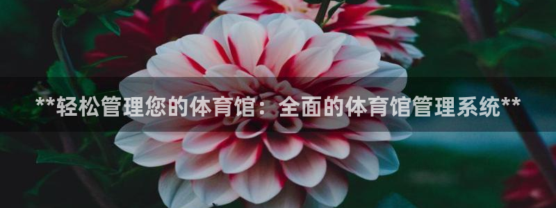 必一体育官方网站入口