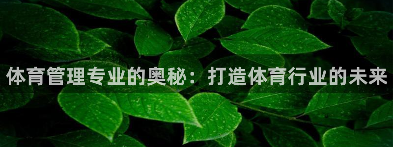 必一体育运动官网