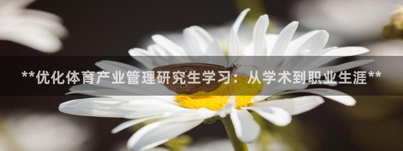必一体育游戏玩法：*