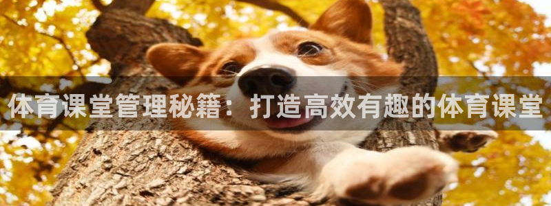 必一体育下载秀给网