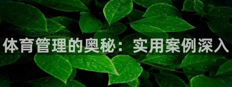 必一体育app官方下载入口