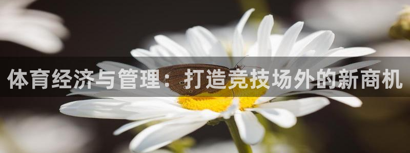 必一体育sport装