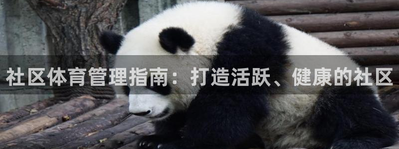 必一体育下载app