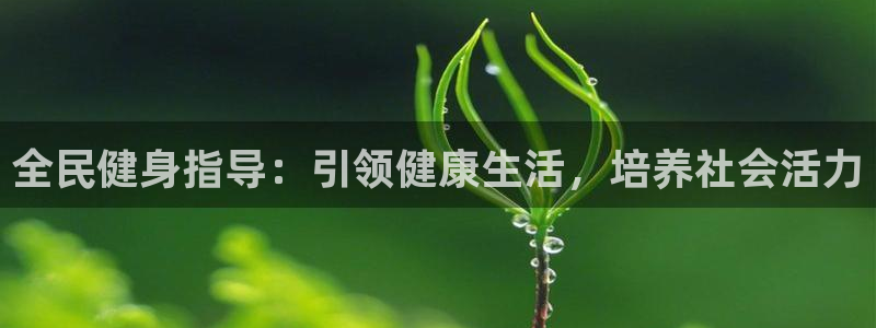 必一体育最新官网入口首页