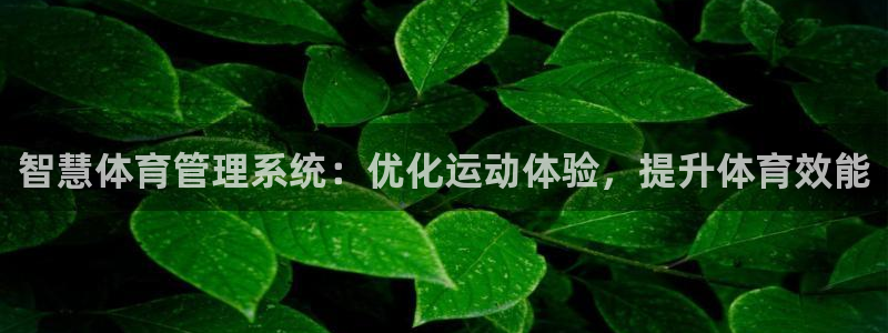 必一体育网站