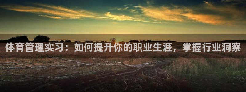 必一体育sport网