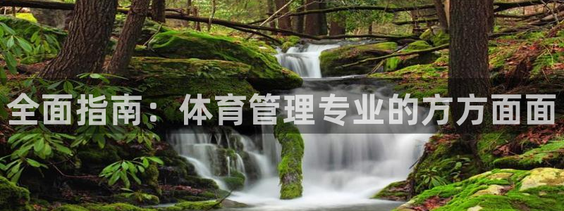 必一体育bsport