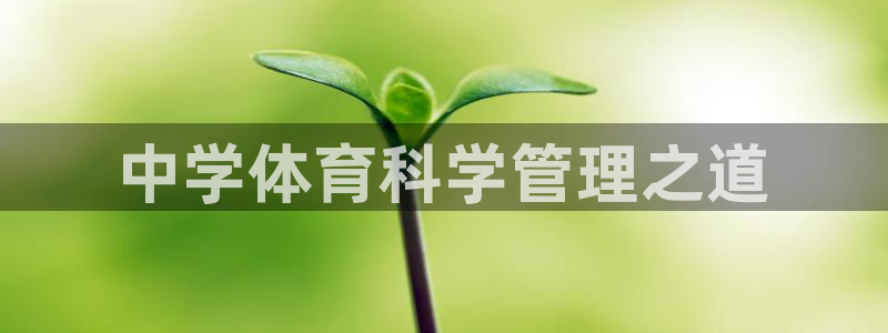 必一体育sport官