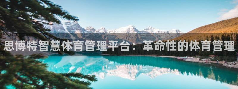 必一体育网站：思博特