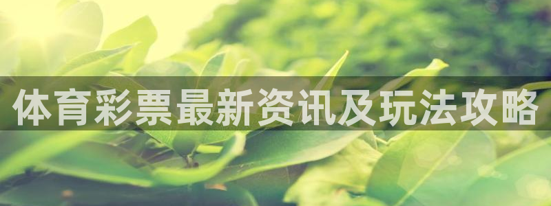 必一体育APP下载安
