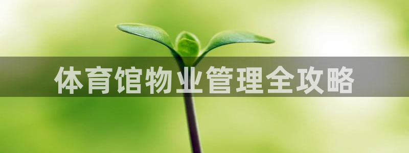 必一体育app官方网